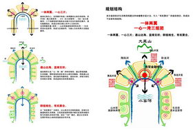 排版|方案|結構|空間